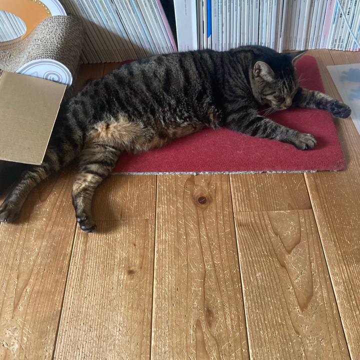 B699372c 050b 4613 b626 1fdb76eb45ea 1744118701612