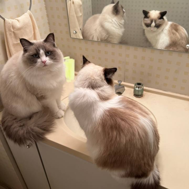 B6995b65 e2bc 4003 85aa bbf689673fcc 1675115175253