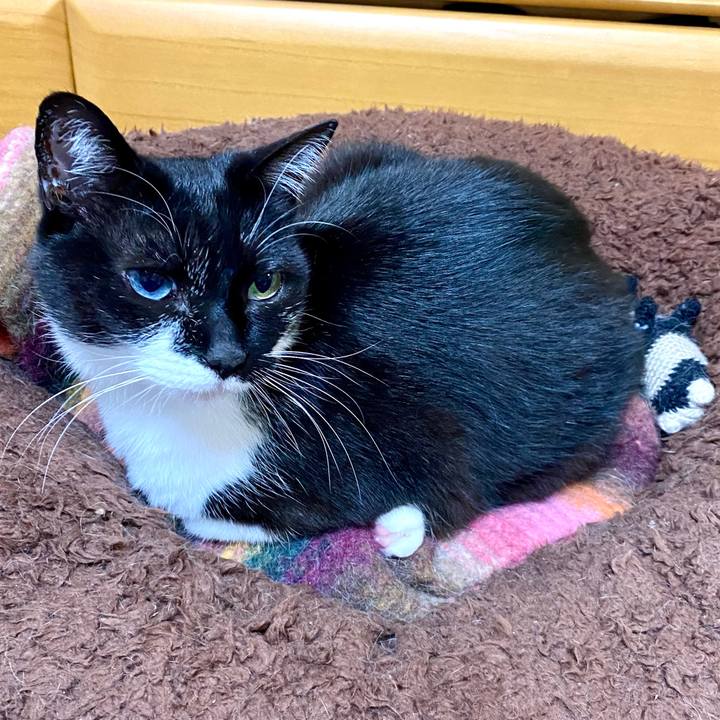 B6997ba9 0eb8 43e1 a7c6 3143cd7aee87 1652107949899