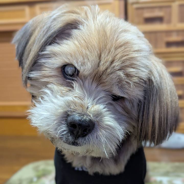 B699a9d4 a536 4480 88e3 9a6e091ff4b9 1739144402650