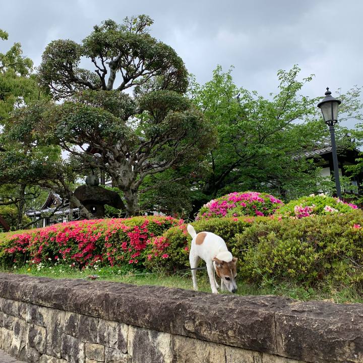 B699aebe 5d7a 44f5 b9c6 19197d44afe1 1619312335126