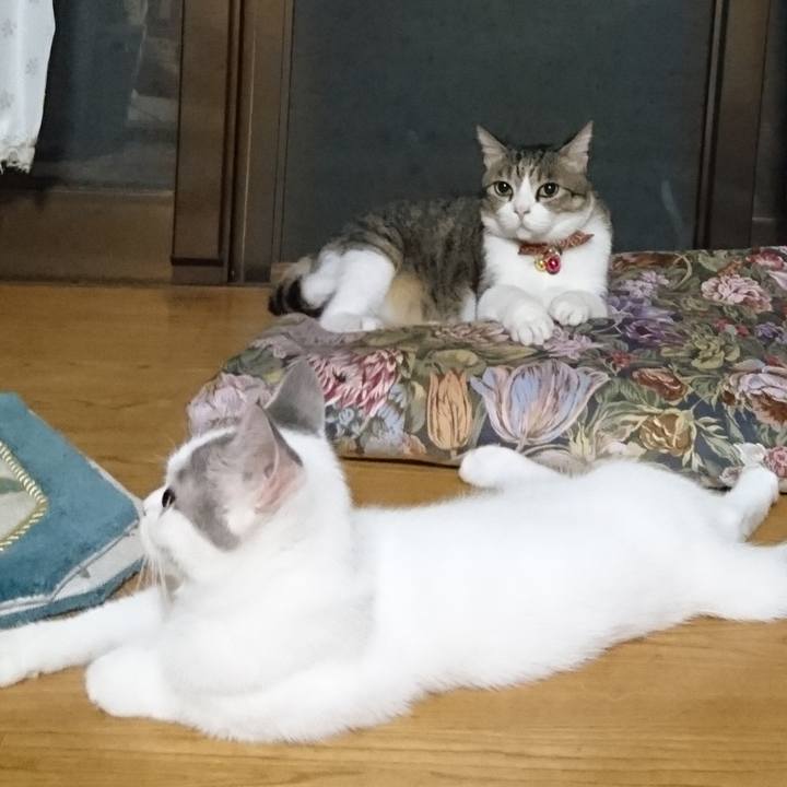 B699c9f4 8446 44d7 acda 67a087db68ca 1604221797318