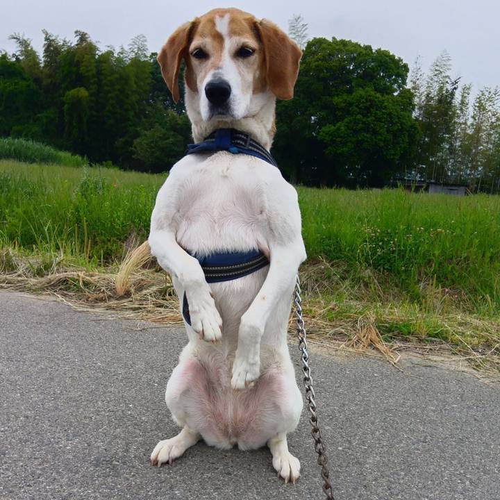 B69a0cae 0e78 478a b278 6523712c47d6 1748519103184