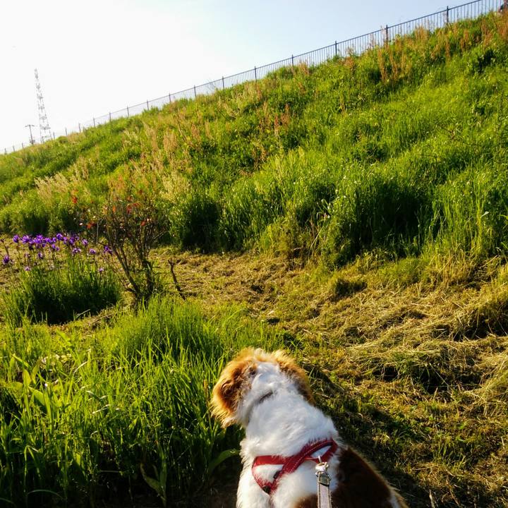 B69a156d b43d 4b5d ad8d 8581dcf0274c 1556970452382