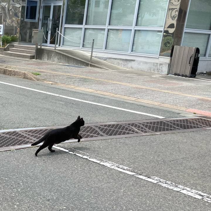 B69a63ca 911d 414f 8db7 1436bb3b3cc8 1590561128892