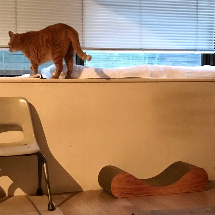 B69a921f 24bc 419c a240 4bd3e94af4d2 1620205745448