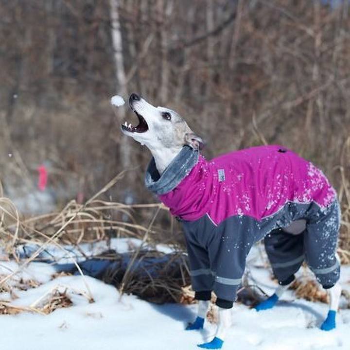 B69addb6 b93d 41b8 a207 18a441bdd9bc 1520688080727