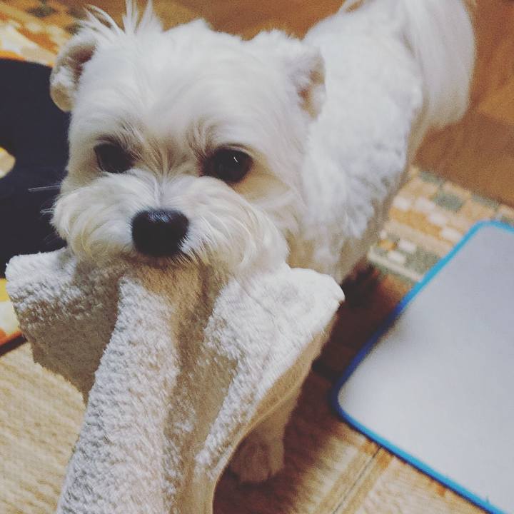 B69af972 b78a 4b93 8c9f 67710e136f8b 1593516233256