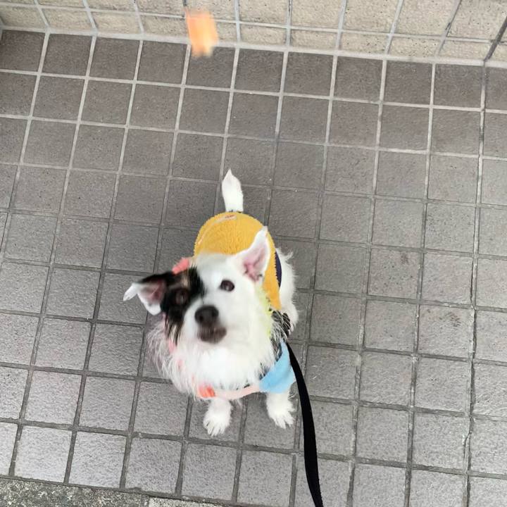 B69b31b6 caff 4f5e ad8e e8c4e91f7cd1 1675327960691