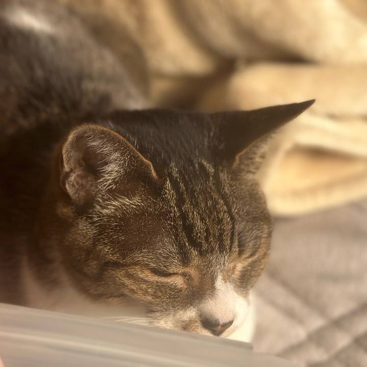 B69b3dbf a5d6 4c48 bb6b 01ea4041c0e4 1682899718405