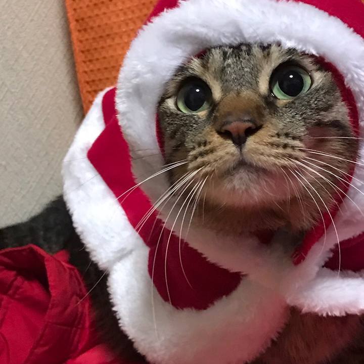 B69b6b20 48b4 4dd9 a6c6 f5069231a412 1545652508739