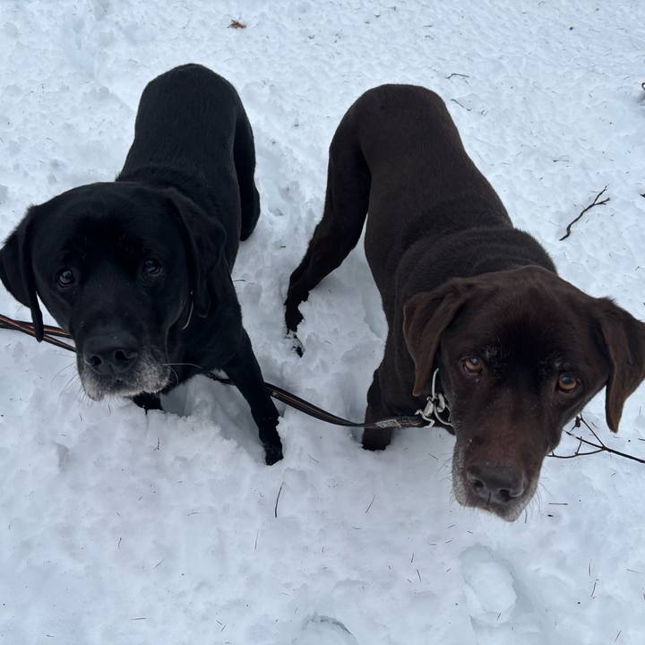 B69bf02a f5bc 4d8a 9cfb 4588f63b4318 1766315656903