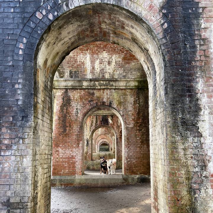 B69bf21e 3bf4 497f a6b2 dc0e2b77caba 1712760517568