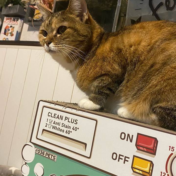 B69bf4b0 9bba 473a a822 4b72ea3248bb 1698763725115