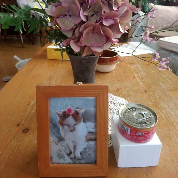 B69bfcc0 d2b6 46b3 b34a 152f410b446a 1627701051873