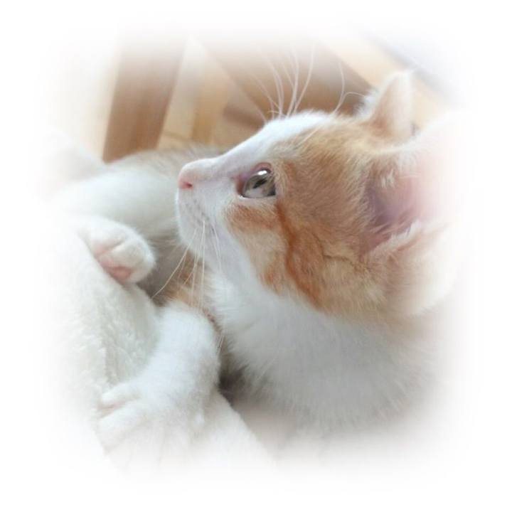 B69bff9b af4b 48c1 ad4b bd3c857b9702 1587470590392