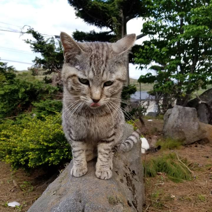 B69c02fd d348 49cd b8c5 c0119699ef30 1653050978364