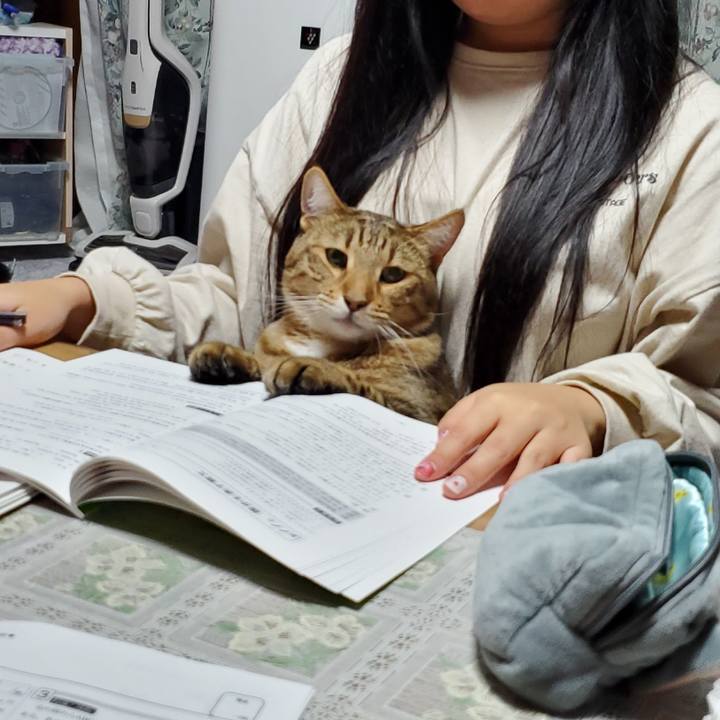 B69c10c6 9705 4046 9aaf 681b2473235c 1704638693763