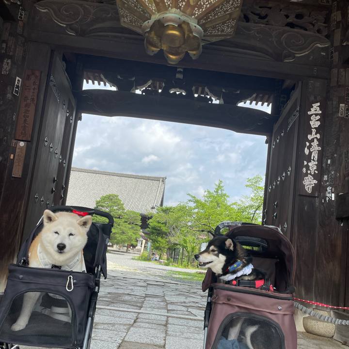 B69c3ac9 72c6 4229 badd 6d4e2bf1076c 1656220957747