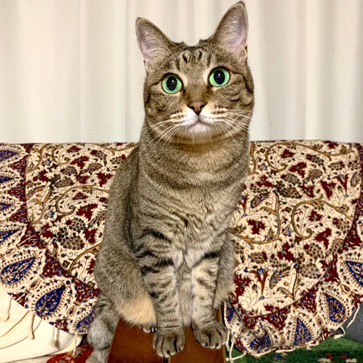 B69c4486 4298 4c0a ba55 ca1fa05f8f02 1615357321388