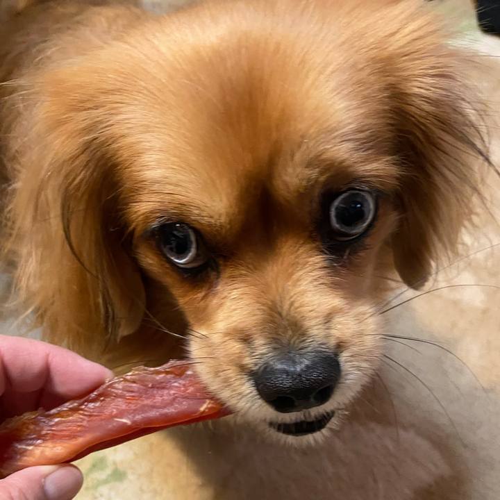 B69c44e4 8c37 4d9f 99d0 17997d0fa953 1583014274914