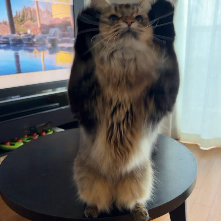 B69c4bb6 52c1 4653 8680 7de4aa239bf0 1760914164898