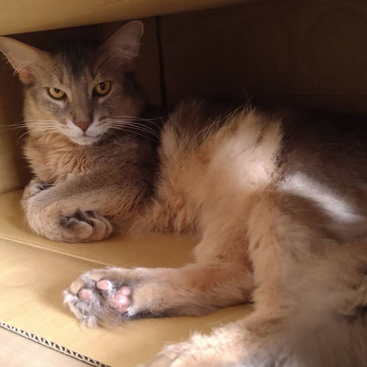 B69cbb42 3f1f 4cec 9093 67f83be4e5b4 1594535281094