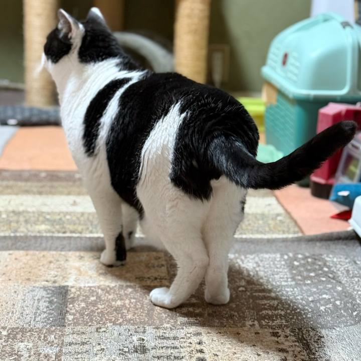 B69cbf8f 204d 484f b70e 6b4409c09bda 1768182110737