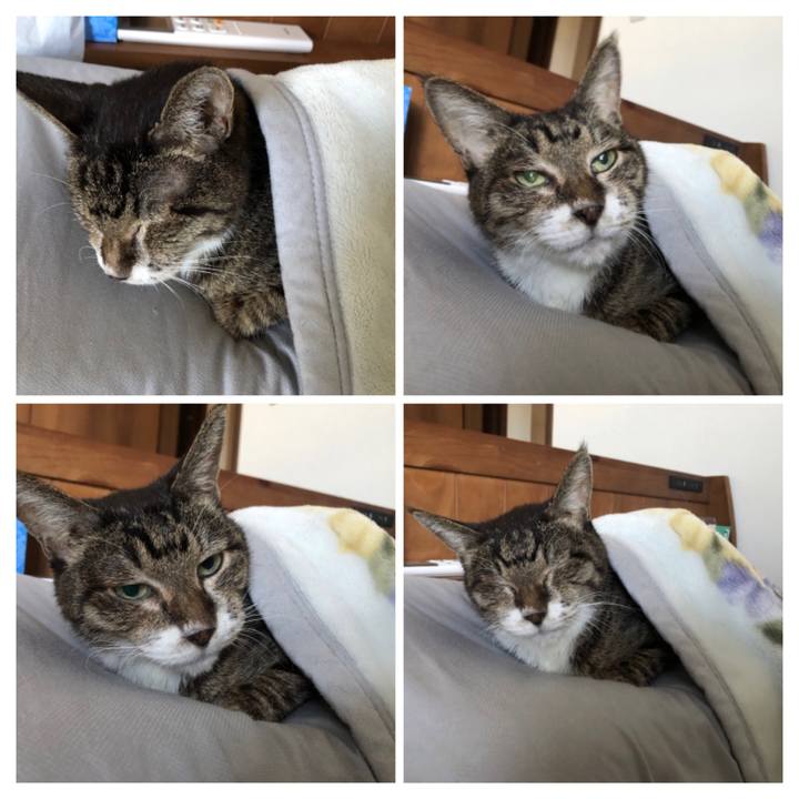 B69ce48c f53e 47ed a7d0 04b15d6eeef2 1664661182223