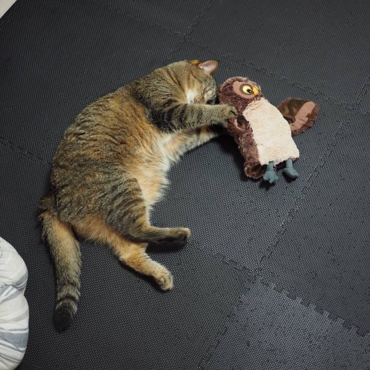 B69cf819 9b3d 4555 b61e 3cb061bf205f 1535064479251