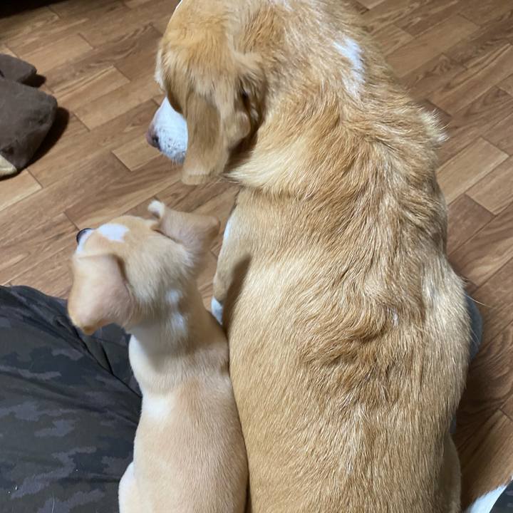 B69d0f5b 9ec0 47e9 86f7 edcb083bc2b1 1661725055007