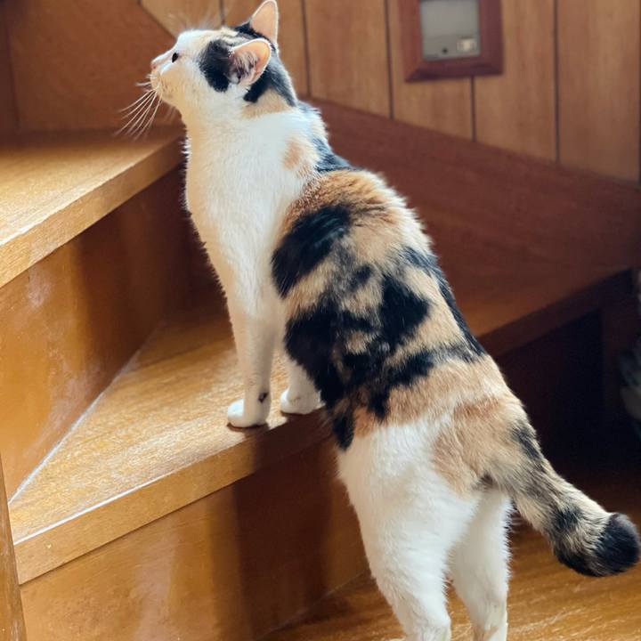 B69d2081 ba33 4a92 a7ad 1ad8a2844158 1626056149479