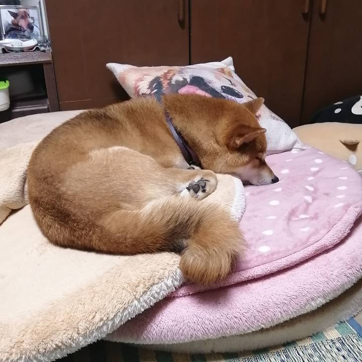 B69d33d3 4582 409b 82ee 9ccbe7d12d31 1590497975291