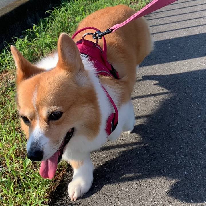 B69d58a9 5eea 4d0f 94ae 0658d2e768a3 1659310966925