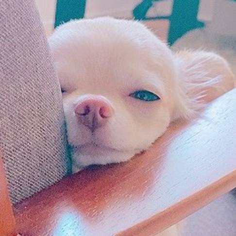 B69d9cf7 55e8 4391 9f87 43d73f88c471 1631859041238