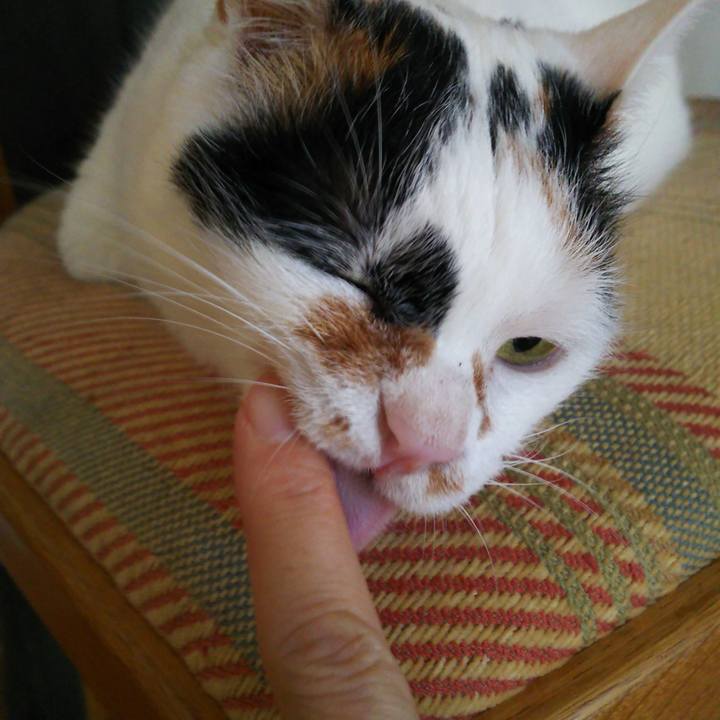 B69da20e f34b 450d b3e5 c3814867485c 1566774903603