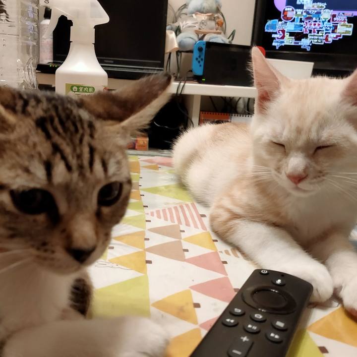 B69da81b fa56 482c 982c 7b459cb794aa 1626877107748