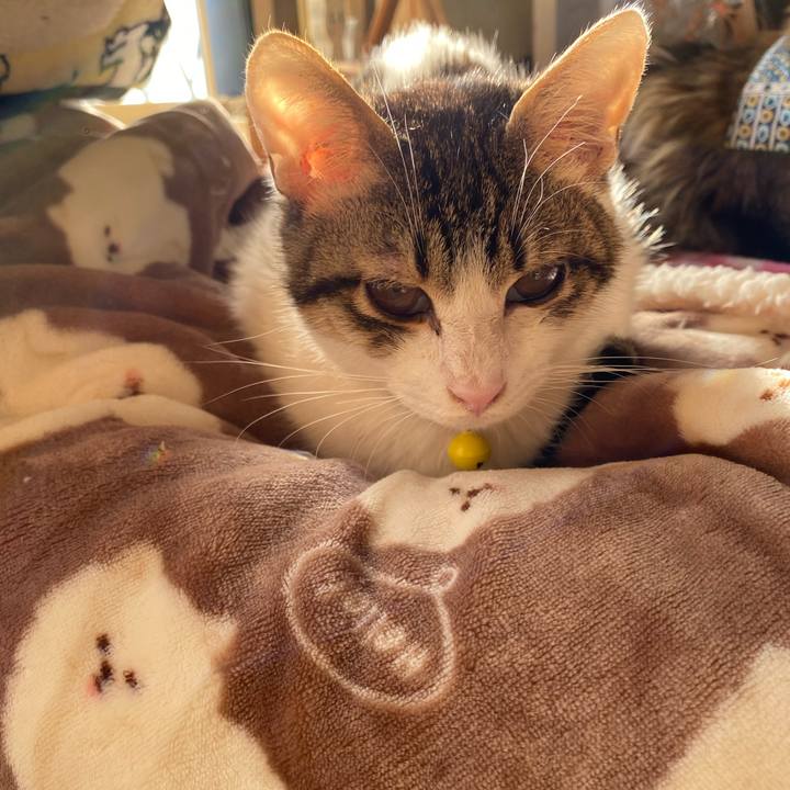 B69dba62 6fe3 474e 8584 fe6a59079568 1704700972704