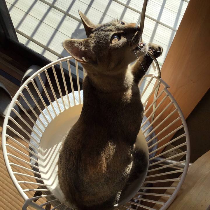 B69dc22d 4437 4fdb 9373 db4bbcdf625b 1574991118567