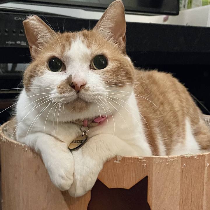 B69dca8b ff16 4514 bc68 354d4abd49b9 1719316735804