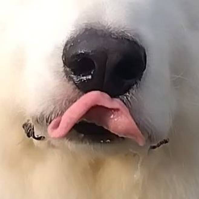 B69e63ed 780f 4113 ad6a 3b226d68e381 1687569875987