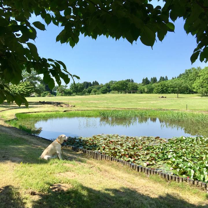 B69e678b 8a83 4bc9 ab3c 2720f27104d2 1527059051198