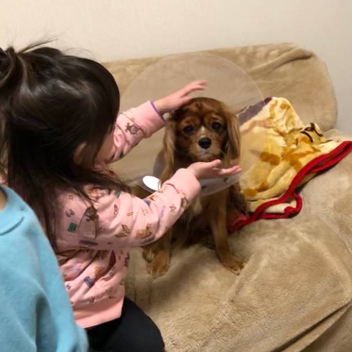 B69e9f70 66df 4183 80c5 28b7e5242121 1577633062808