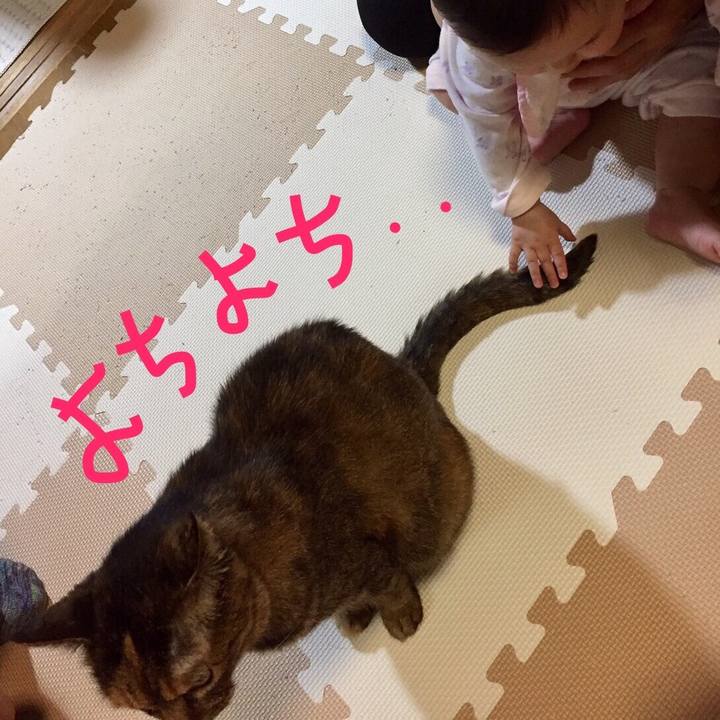 B69eaae5 2755 4b14 bcdd 02207a5d8d21 1572861532655