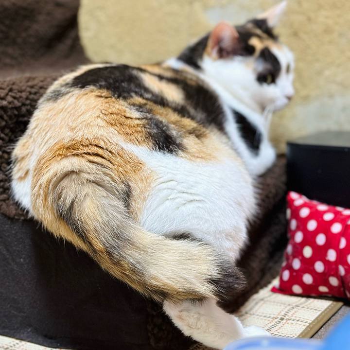 B69eba11 a2f2 4c08 8714 1b3e85f1584d 1692577385586