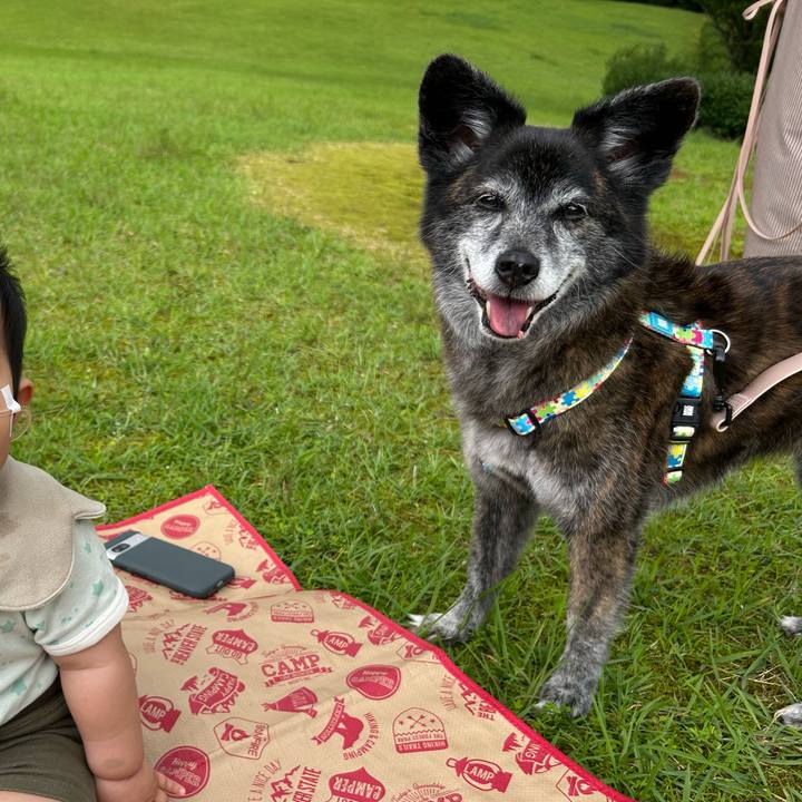 B69ec1fc 3f72 4c26 a3ca 17409f717341 1721477638613