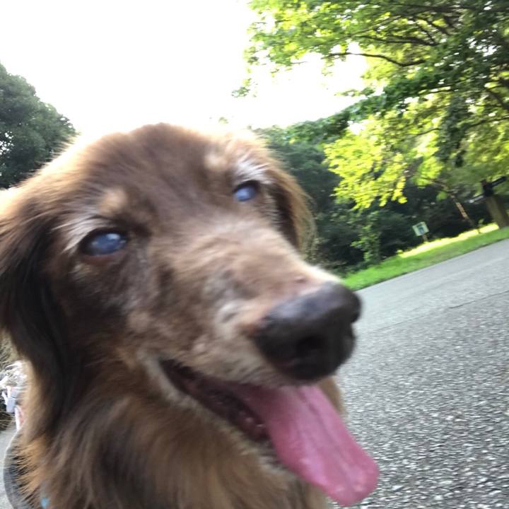 B69ee2e3 7c4a 4bd7 ad3b 35a9e8e1ec3a 1533438931916