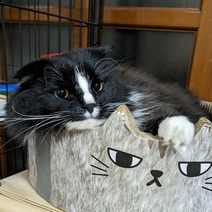 B69f0f84 73e0 4b27 8a5d 428d9c1329f8 1683388381892