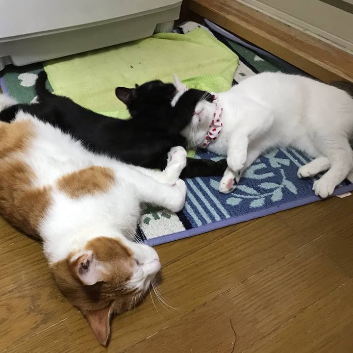 B69f253c 1230 43af be8a 8c60c0b2d32a 1564717367459