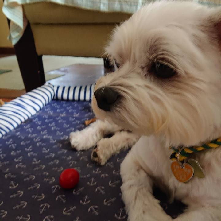 B69f3445 ac75 4a78 8ad4 0a319c8eaa52 1567993444472